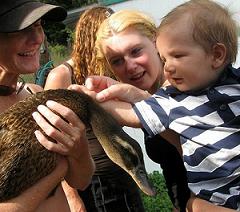 Educational Farm Programs